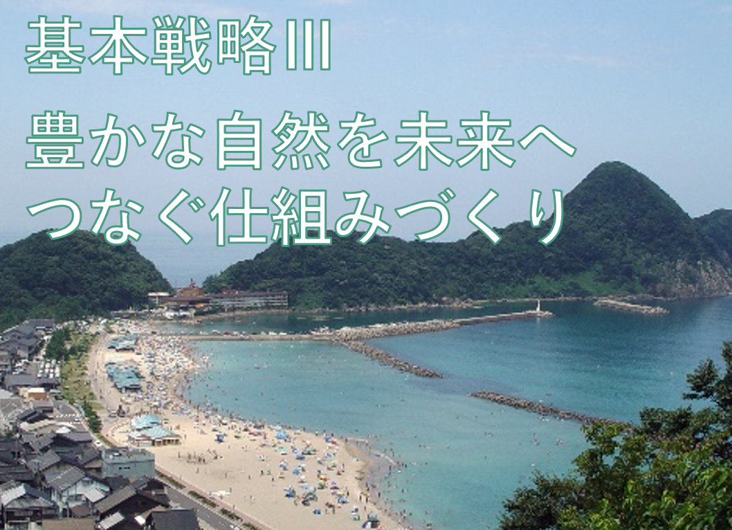基本戦略３.png