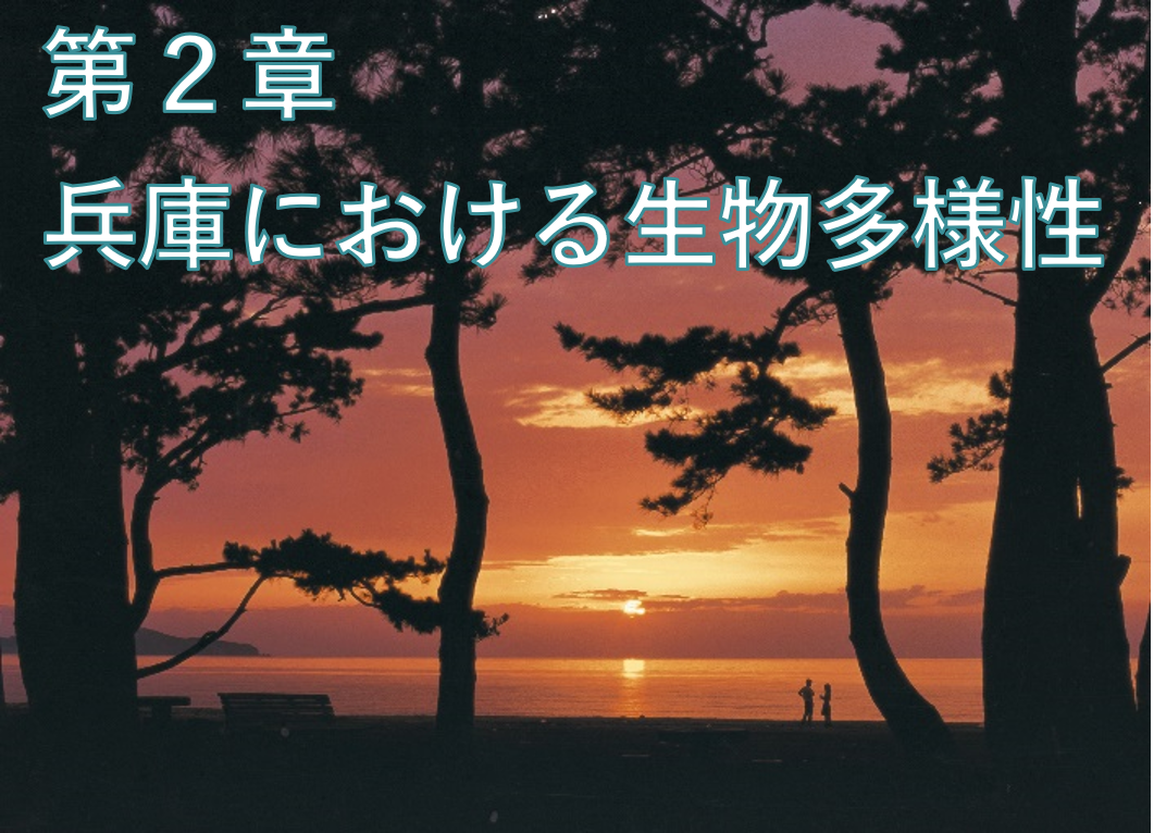 第２章.png