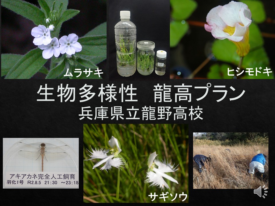 【HP用写真】生物多様性龍高プラン.jpg