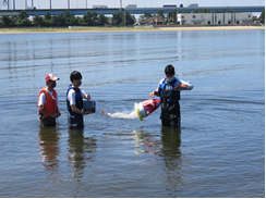 高校生による砂浜等でのマイクロプラスチック調査の実施について