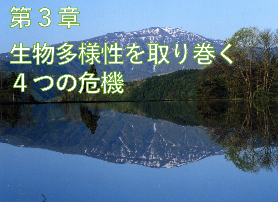 第３章.png