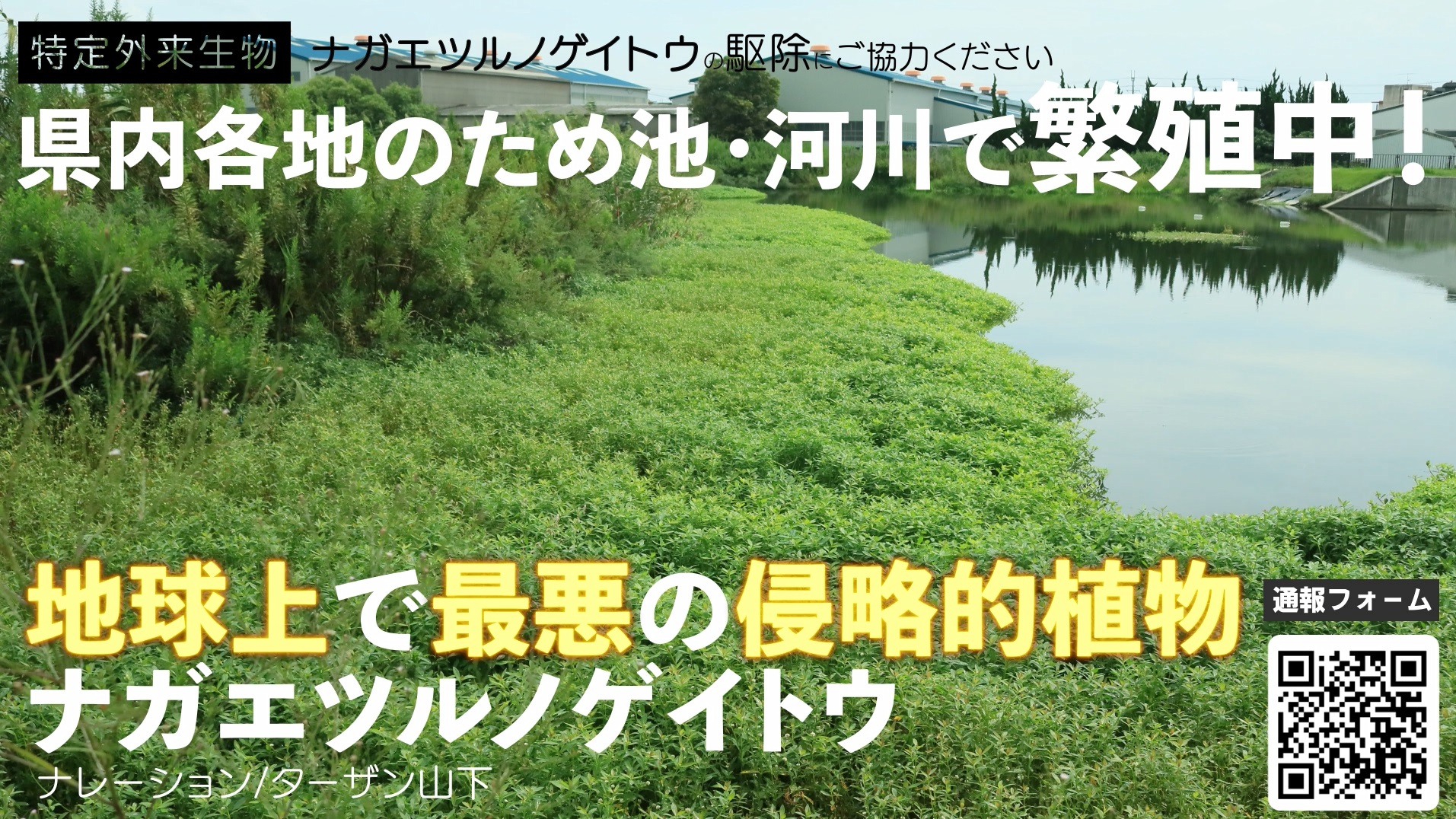 nagae.jpg