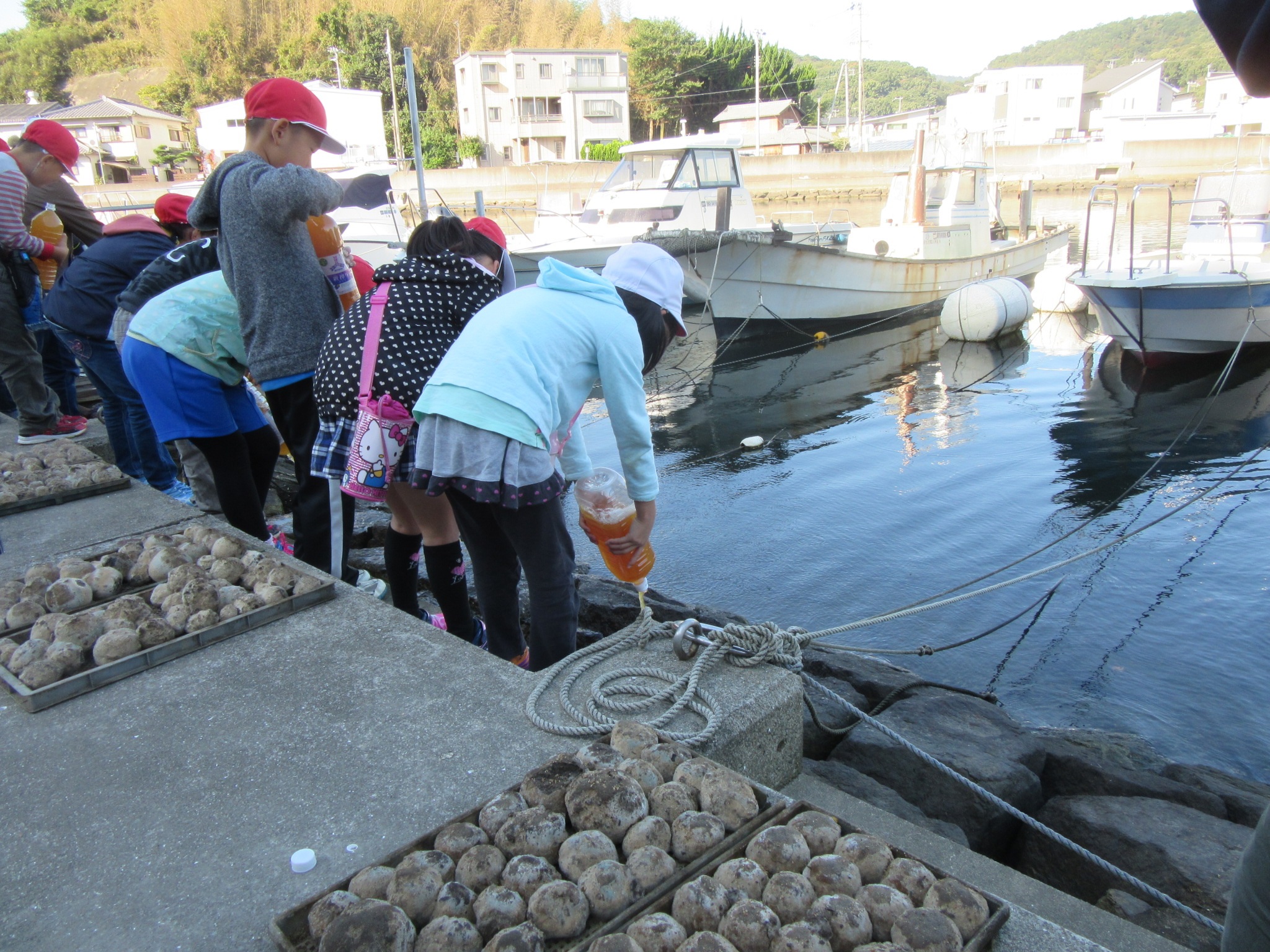 水質浄化活動.jpg