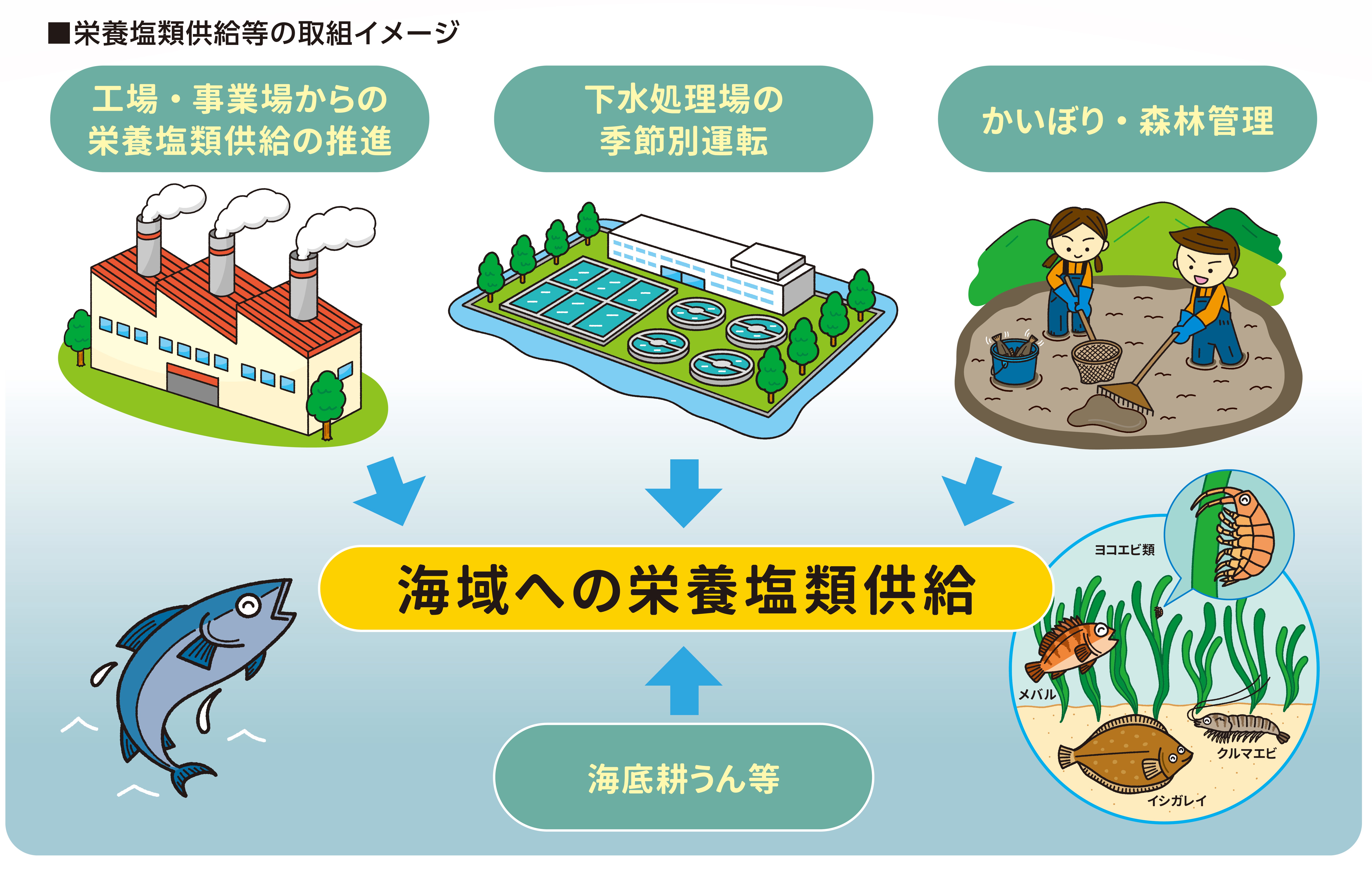 栄養塩類供給等の取組.jpg