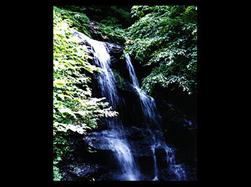 ひょうごの環境 出石糸井県立自然公園