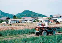 a08_5.jpg