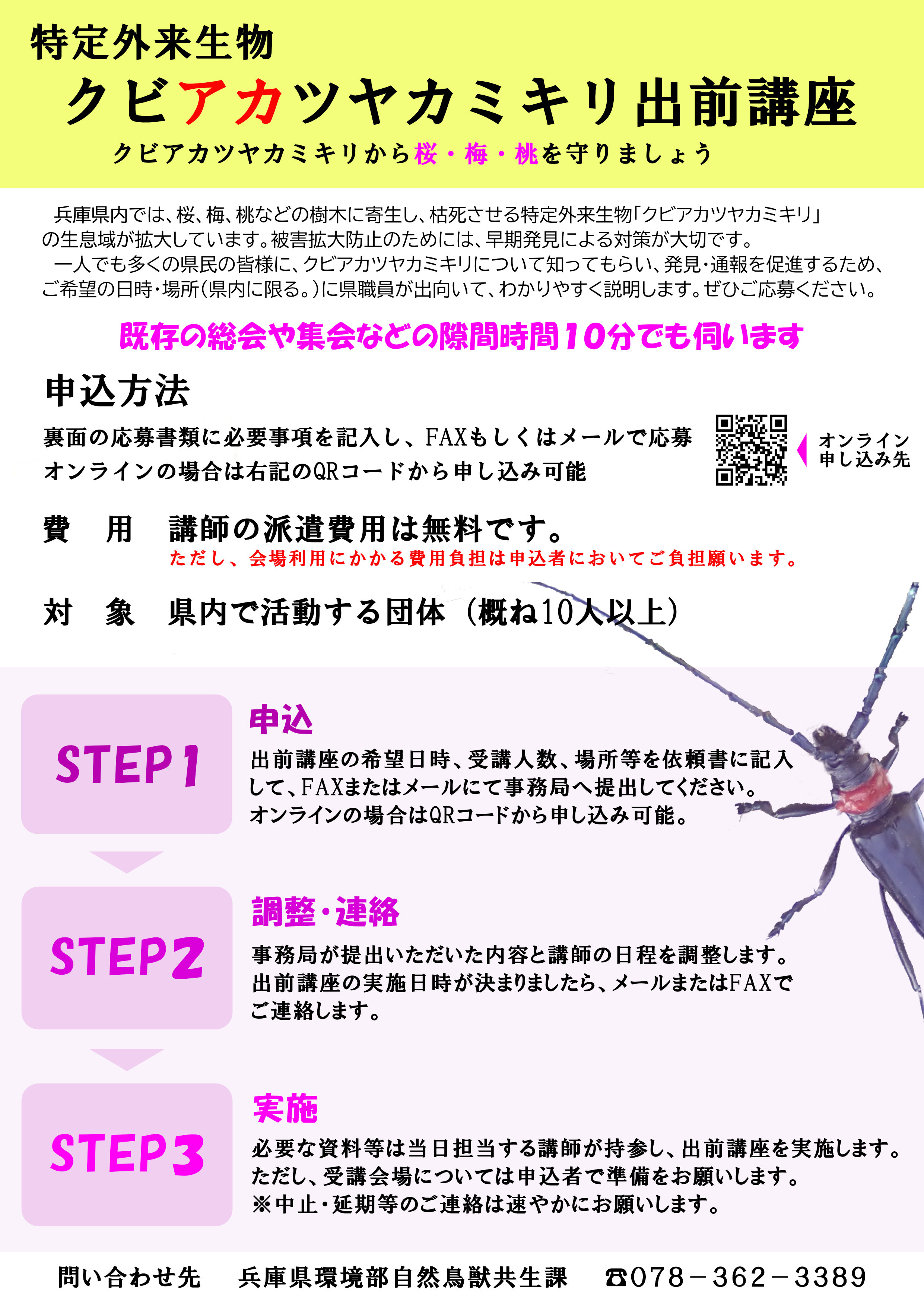 チラシve10素材.jpg