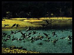 image009.jpg