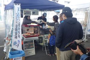 さかな文化祭あかしに出展しました！