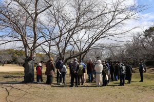 Hyogoクビアカツヤカミキリ見張り隊研修会を開催しました