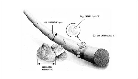 PMの大きさ（人髪や海岸細砂）との比較（概念図）（出典：USEPA資料）